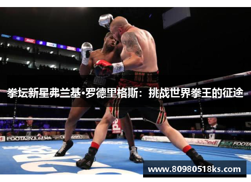 拳坛新星弗兰基·罗德里格斯：挑战世界拳王的征途